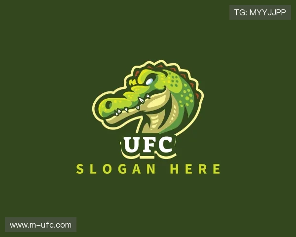 关于ufc公司